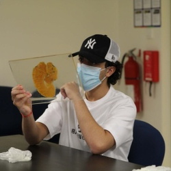 Aspiring Physician