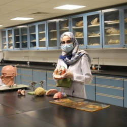 Aspiring Physician