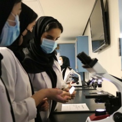 Aspiring Physician