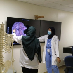 Aspiring Physician