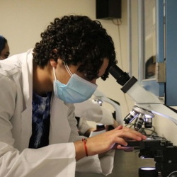 Aspiring Physician