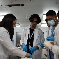 Aspiring Physician / Cycle 2