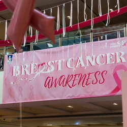 Breast Cancer Campaign- 8th Oct