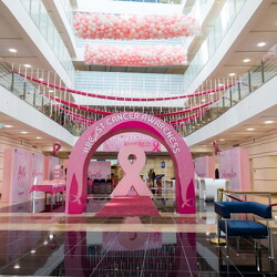 Breast Cancer Campaign- 8th Oct