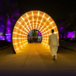 SDC Carnival