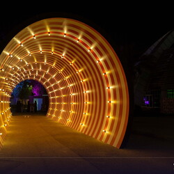 SDC Carnival