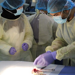 Drug Discovery